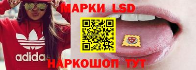 индика Лесосибирск