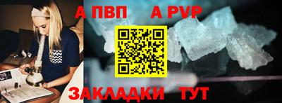 индика Лесосибирск